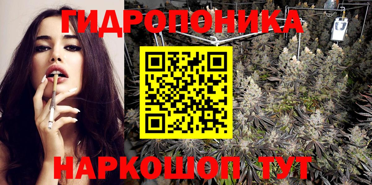 Каннабис сатива Подольск